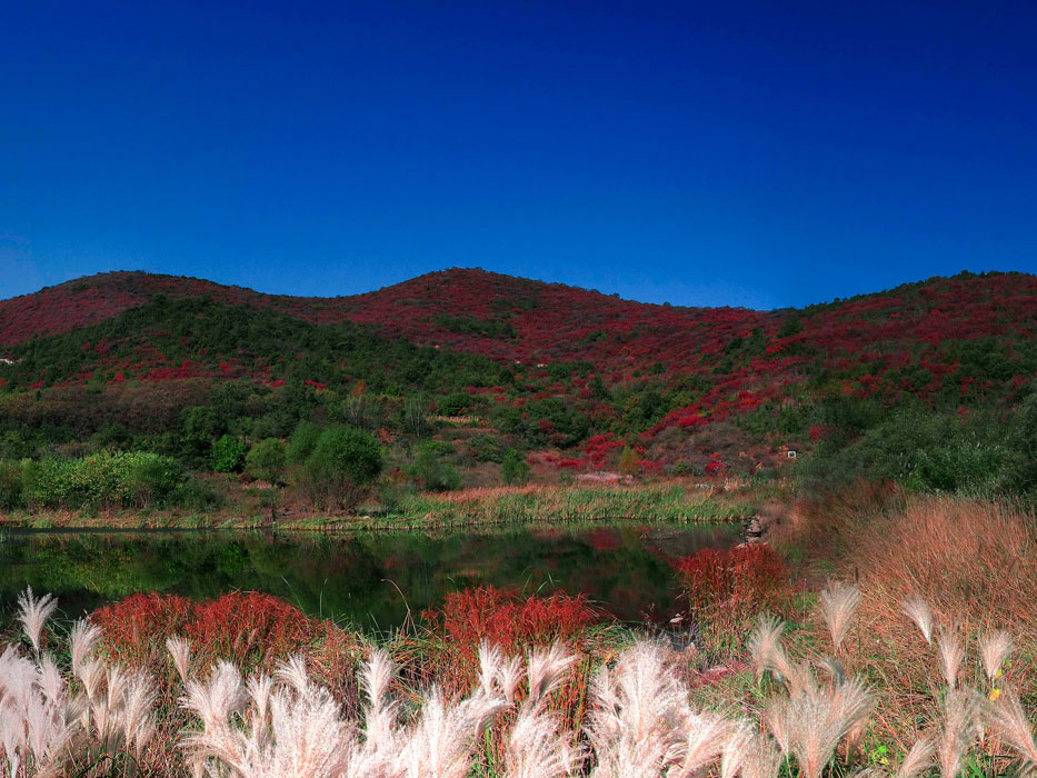 Tour of Songshan Mountain