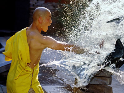 Shaolin Kung Fu 공식