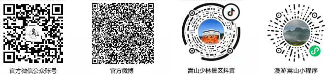 掌上嵩山二维码