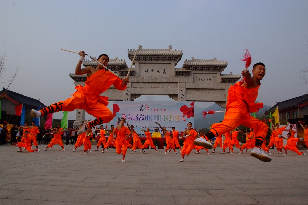 1496826399432849.jpg 2015hongyejie03.JPG