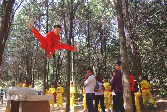 1496834451411937.jpg 15-15-6.jpg