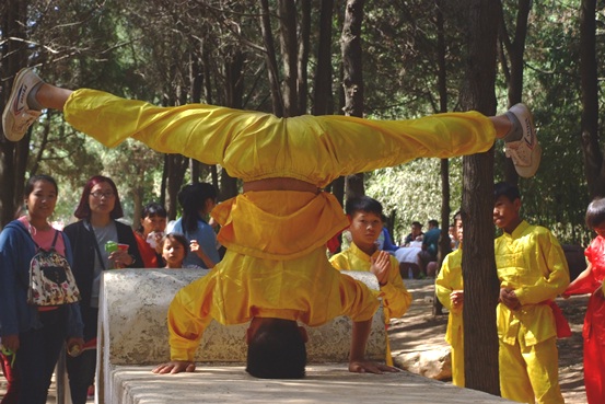 1496834462343192.jpg 15-15-7.jpg