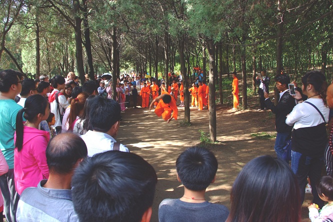 1496834471171338.jpg 15-15-8.jpg