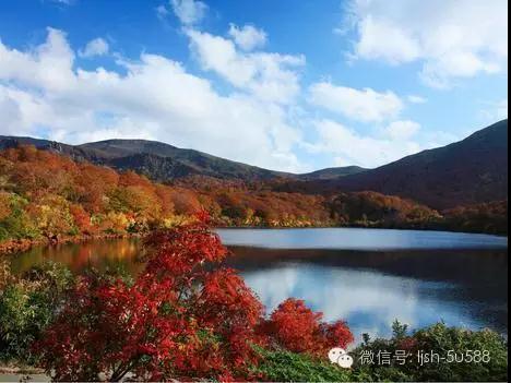 1513822105846413.jpg 01.jpg