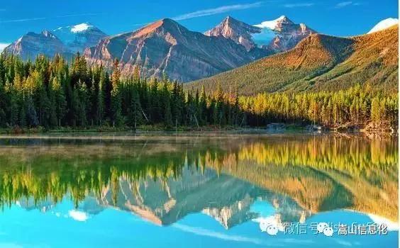 1513822208746837.jpg 04.jpg