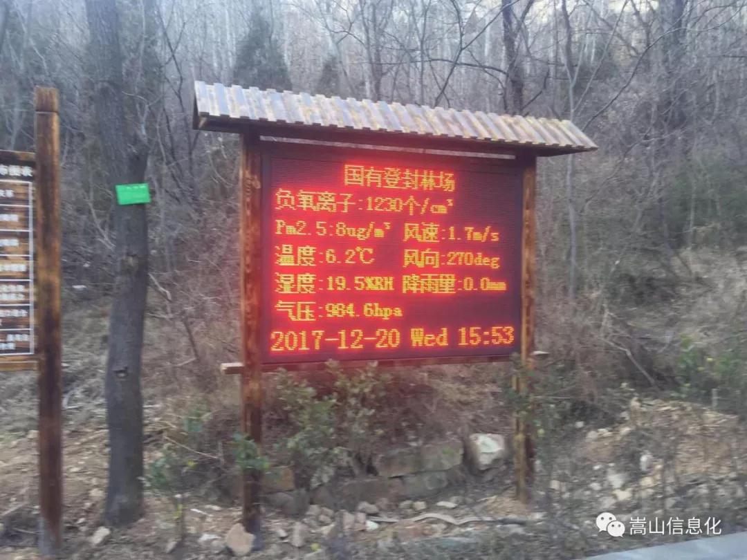 1513822392167419.jpg 14.jpg