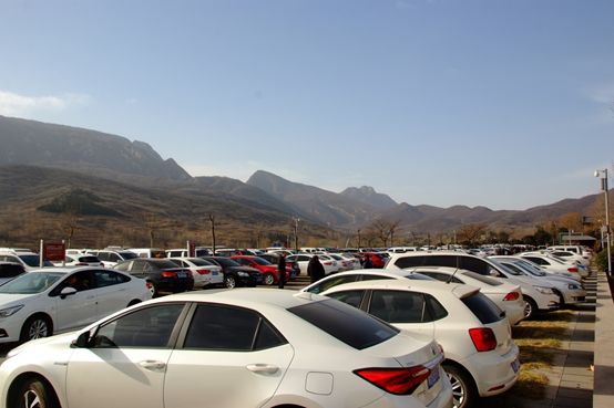 1515813434575215.jpg 3.jpg