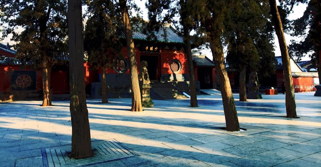 1515827446538014.jpg 2.jpg