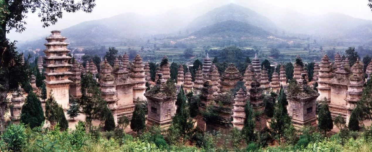 1515827535286207.jpg 5.jpg