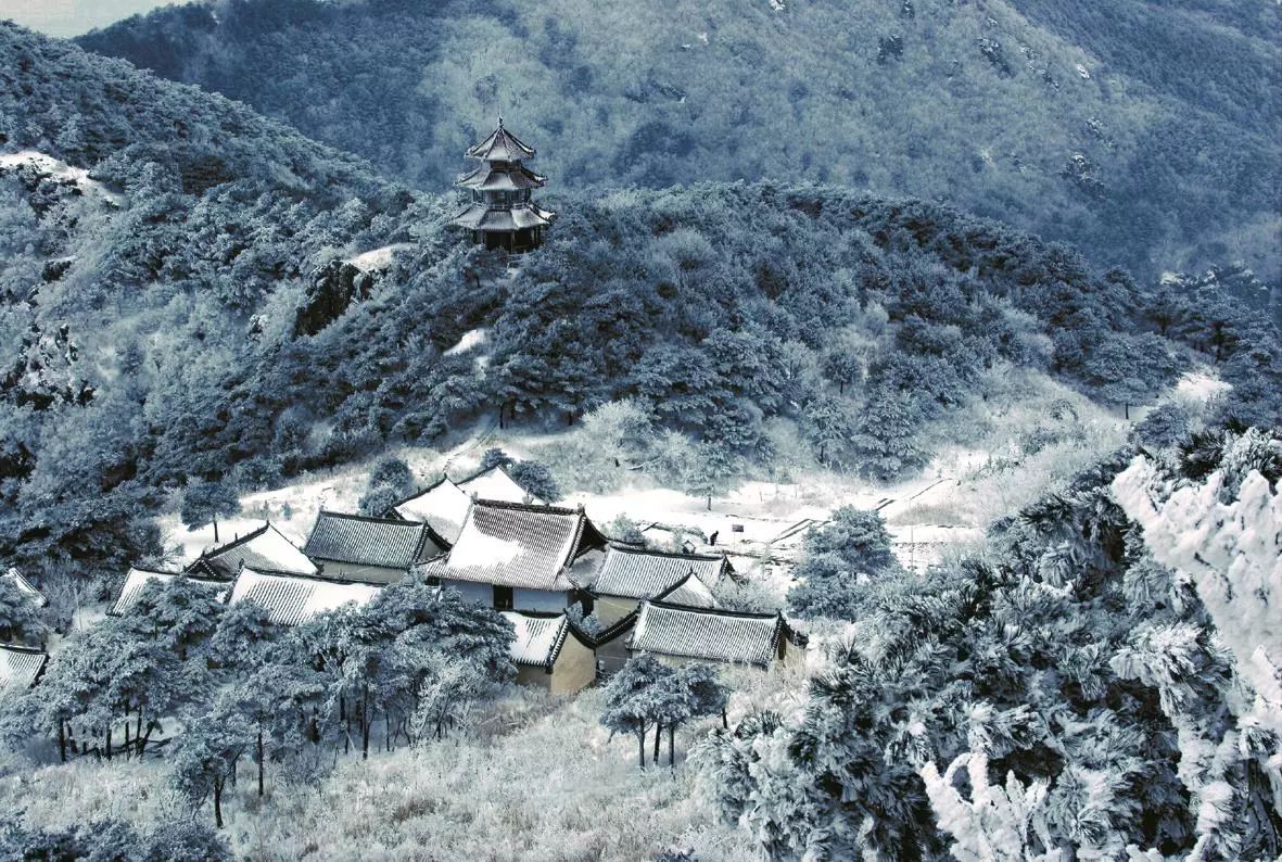 1515827559130322.jpg 8.jpg