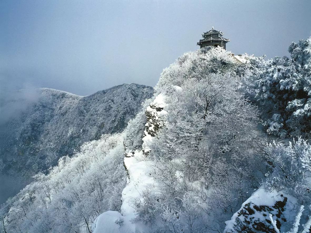 1515827579460921.jpg 10.jpg