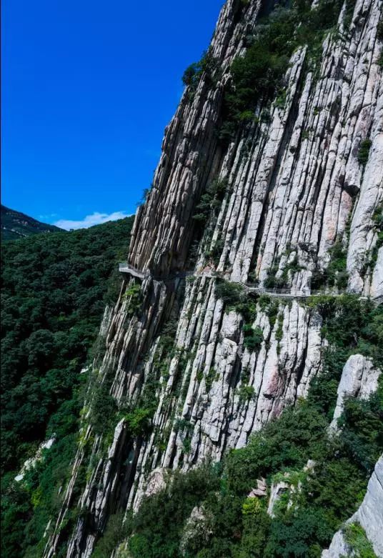 1515827617902540.jpg 13.jpg