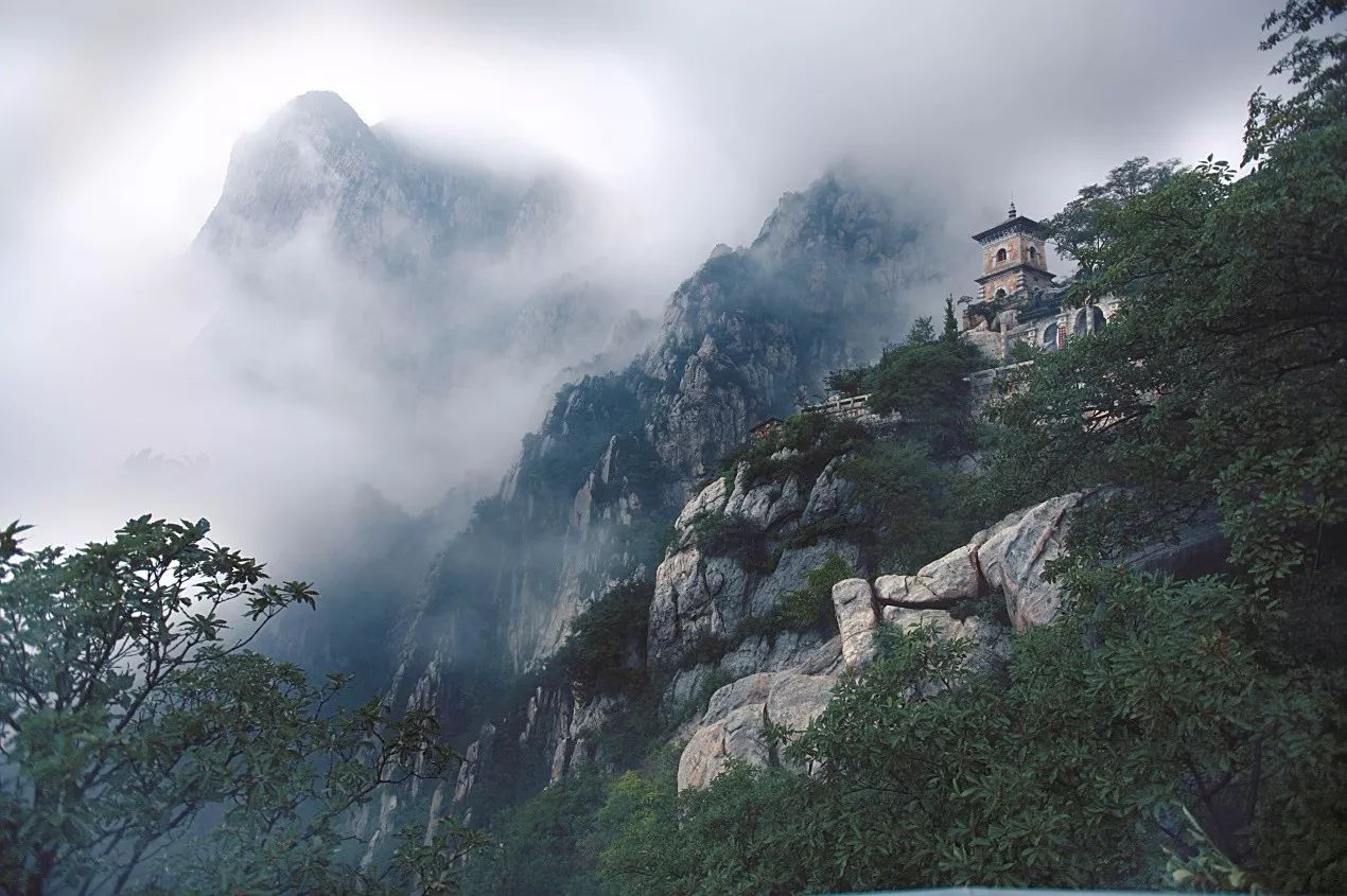 1515827628844832.jpg 14.jpg