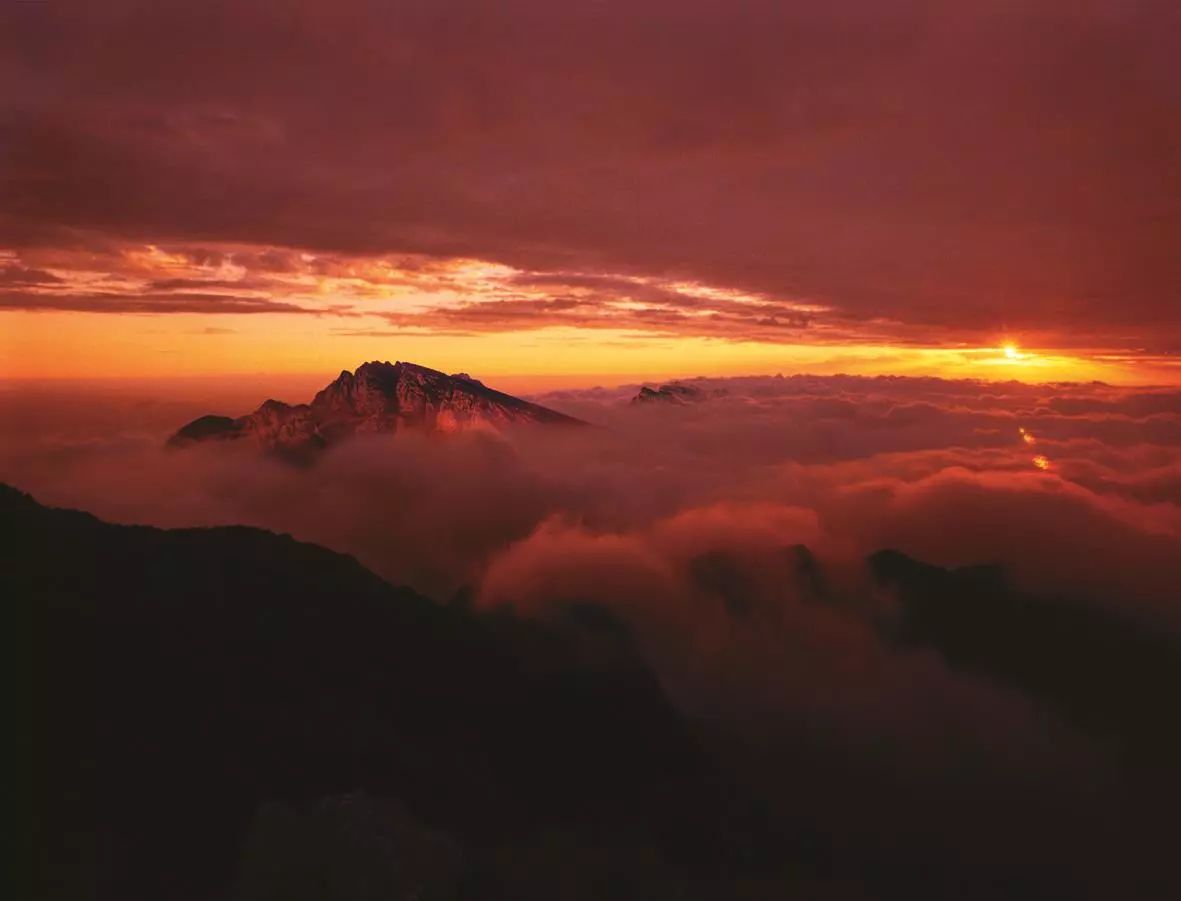 1515827657364174.jpg 16.jpg