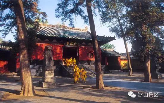 1519867501480542.jpg 5.jpg