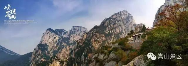 1519867521548440.jpg 8.jpg