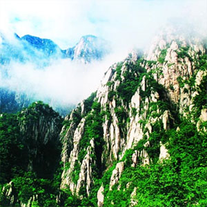 嵩山资讯