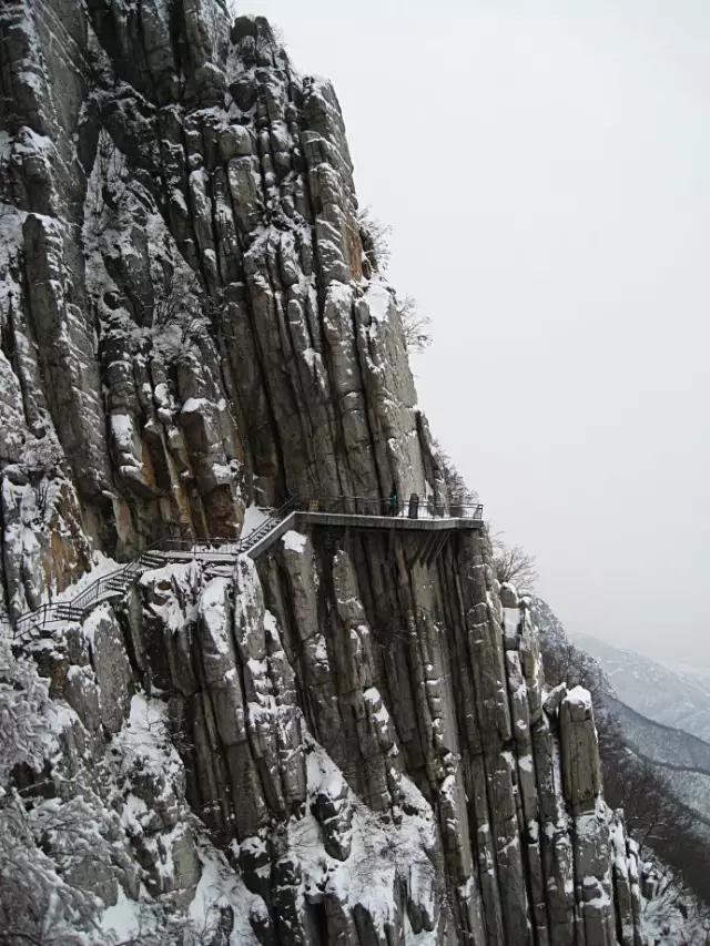 05.jpg
