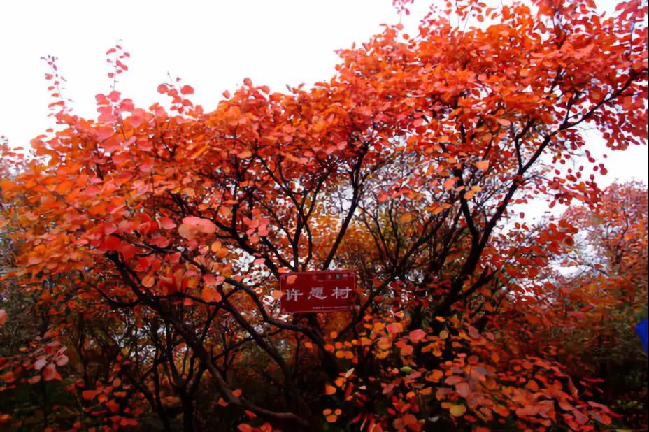 微信图片_20181016150605.jpg