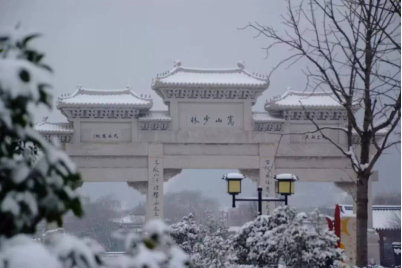 全息互动功夫光影秀、嵩阳书院拜孔仪式助力元旦小长假docx210.png